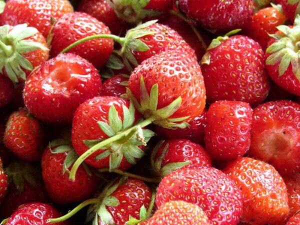 fraises