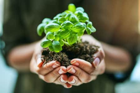 métiers de l'environnement