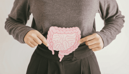 gut health perimenopause hormones