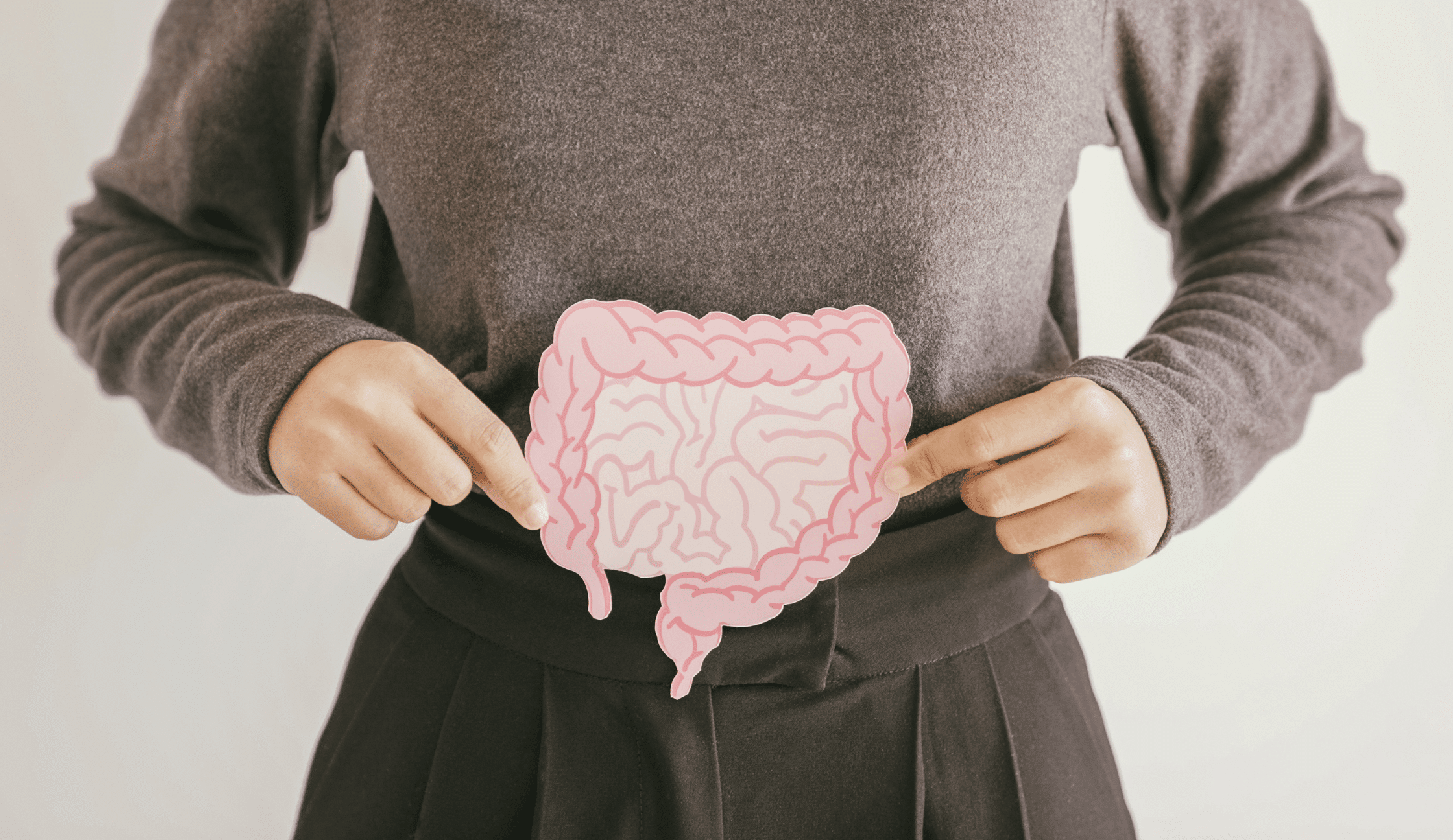 gut health perimenopause hormones
